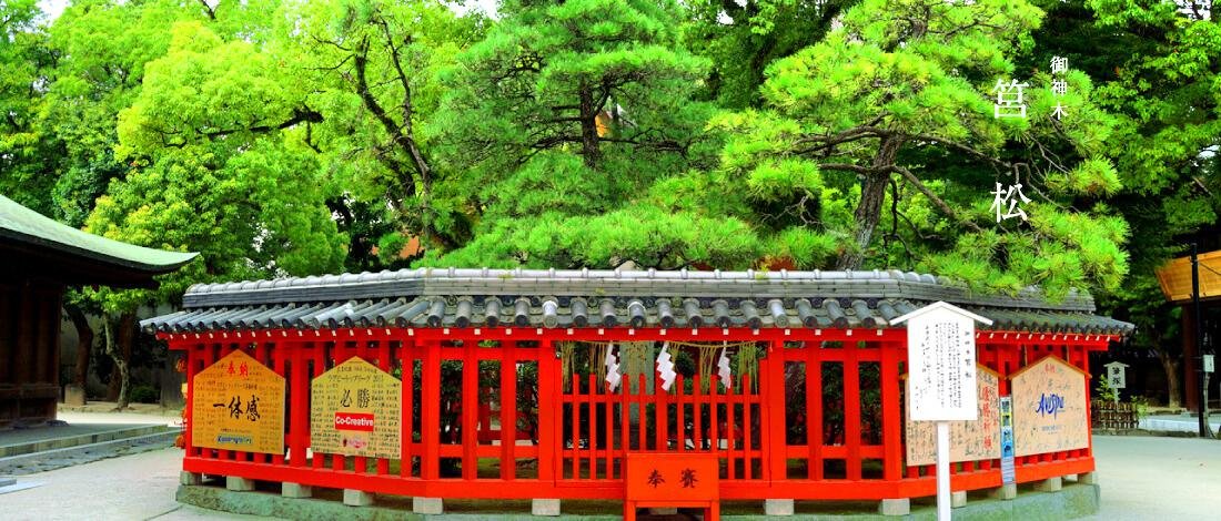 ⛩️ 하코자키궁 (하코자키구) 이미지 1